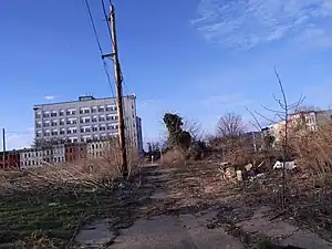 Emergent scrub cover growth in urban brownfield site