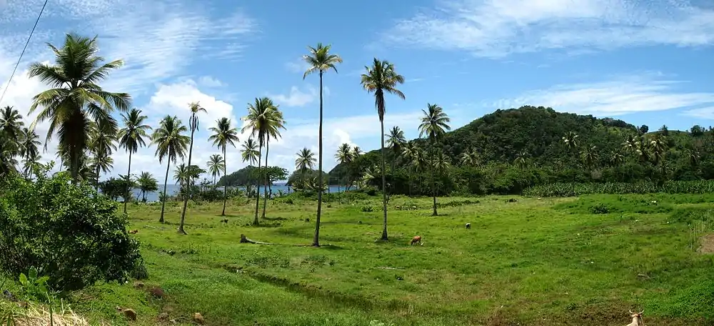 A photo of Dominica