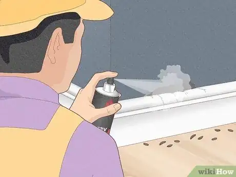 Image titled Tell How Many Rats Are in Your House Step 10