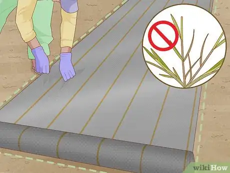 Image titled Build a Rock Garden with Weed Prevention Step 4