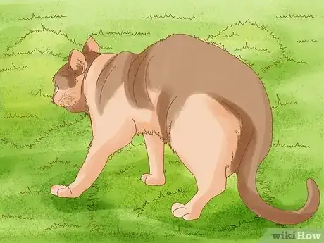 Image titled Get Rid of Moles in Your Garden Step 12