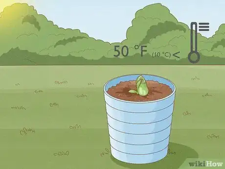 Image titled Propagate Pitcher Plants Step 28