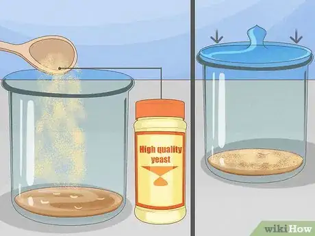 Image titled Grow Yeast Step 27