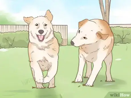 Image titled Tell if Your Dog Is Depressed Step 18