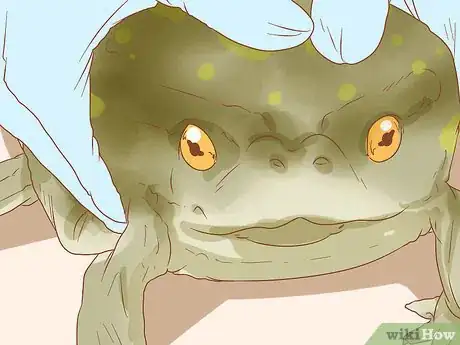 Image titled Bathe Your Frog Step 7
