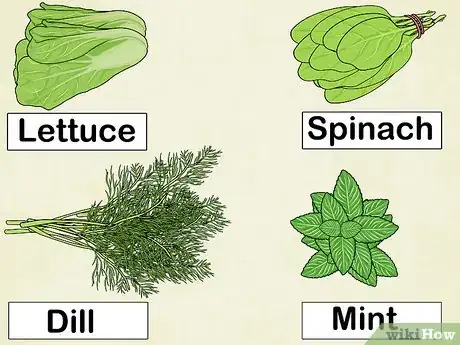 Image titled Build a Hydroponic Garden Step 9