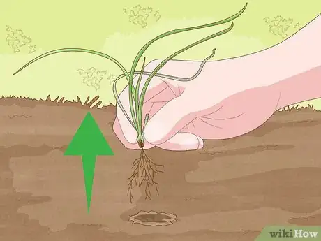 Image titled Build a Rock Garden with Weed Prevention Step 14