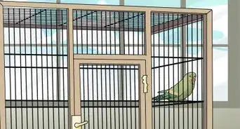 Amuse Your Parakeet or Other Bird