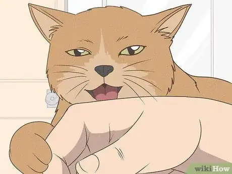 Image titled What Does It Mean when Your Cat Licks You Step 4