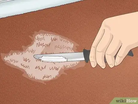 Image titled Get Milk Out of Carpet Step 7