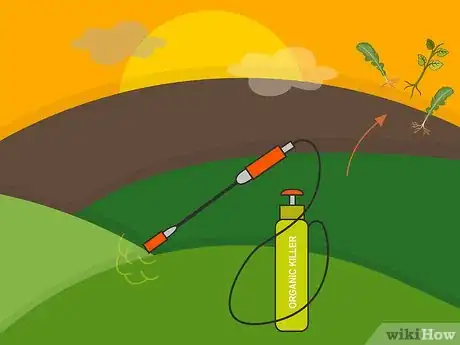 Image titled Remove Weeds from a Lawn Step 09