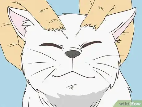 Image titled What Does It Mean when Your Cat Licks You Step 9