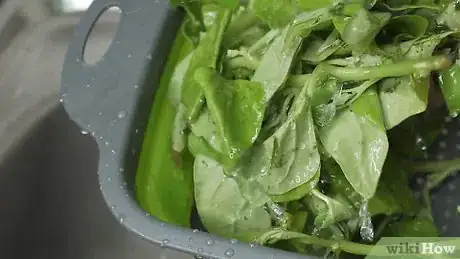 Image titled Keep Spinach Fresh Step 11