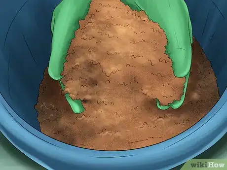 Image titled Grow Ginger Indoors Step 2