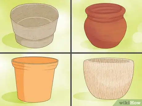 Image titled Care for a Sansevieria or Snake Plant Step 2