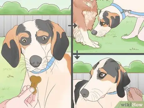 Image titled Socialize an Aggressive Dog Step 12