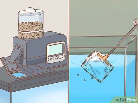 Image titled Decrease Aquarium Algae Naturally Step 3