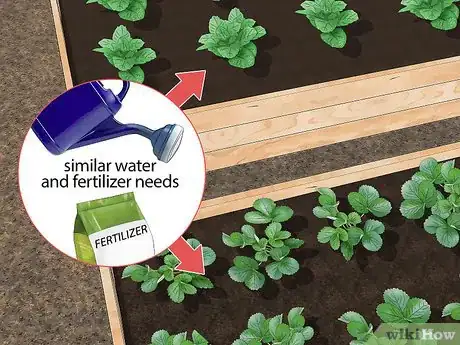 Image titled Fix Root Rot Step 23
