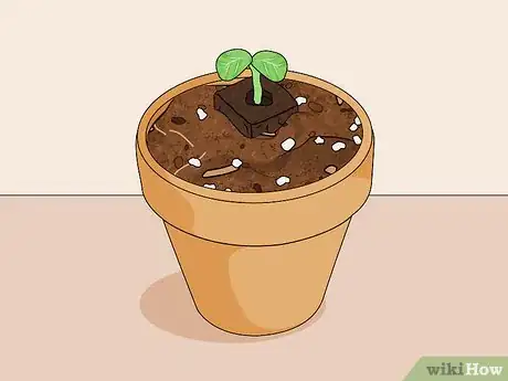 Image titled Build a Hydroponic Garden Step 12
