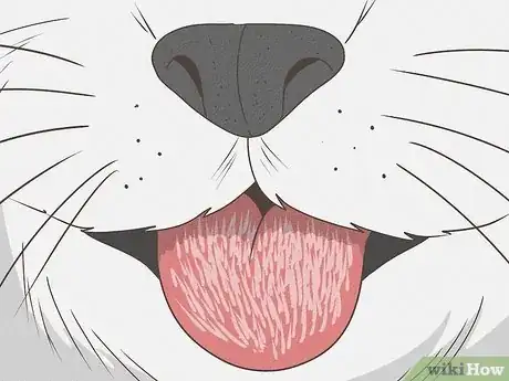 Image titled What Does It Mean when Your Cat Licks You Step 12