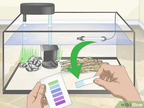 Image titled Quarantine Freshwater Fish Step 4