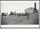 Image 23Camel train, with wool from Nappamerry being unloaded at the Railway Station, 1928. (from Transport in South Australia)