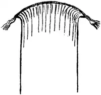 Britannica Bookbinding - back of book sewn on bands after rounding.png