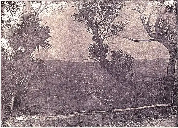 Dunedin from the junction (Picturesque Dunedin).jpg