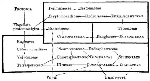 EB1911 Algae - Table.png