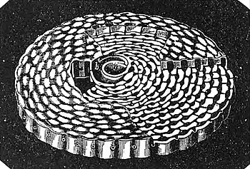 EB1911 Foraminifera - Shell of simple type of Orbitolites.jpg