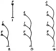 EB1911 Hydromedusae - Diagram of sympodial budding, uniserial type.jpg