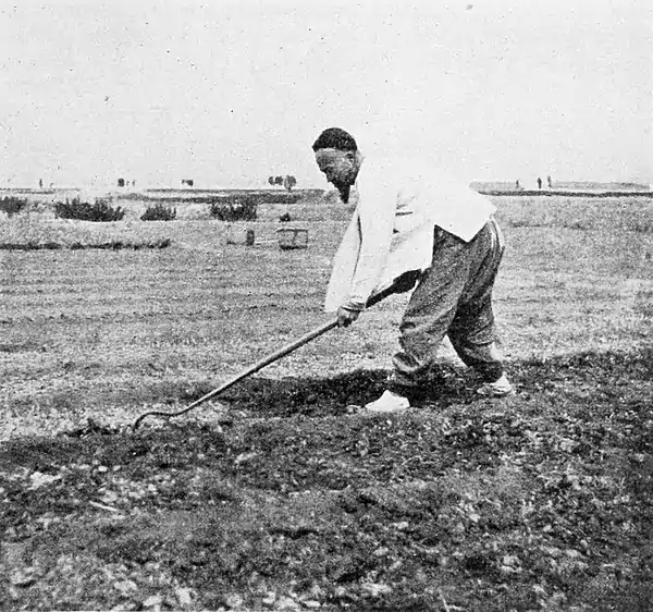 Farmers of forty centuries - using the broad, heavy hoe in producing surface mulch, Shantung, China.jpg