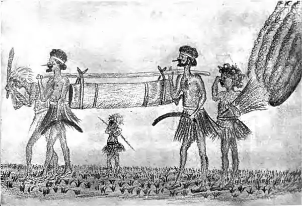 Funeral of a native; a bark coffin