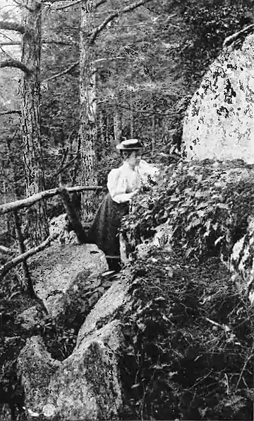 How to Know the Ferns 7th ed. front plate.jpg