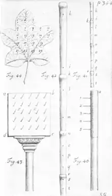 Makers of British botany, Plate 9 (Plate 18 from Hales's Vegetable Staticks).png