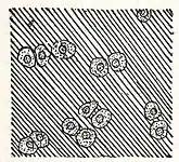 NSRW Cartilage showing matrix.jpg