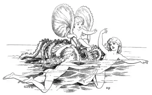 FAIRIES AND NAUTILUS