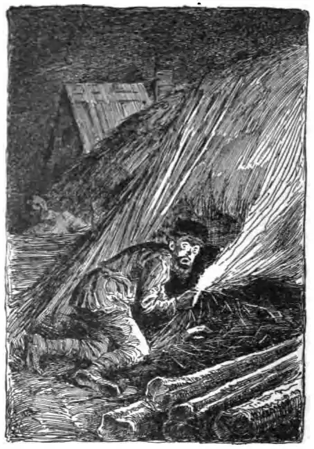 Tolstoy - Ivan the Fool - 'Ivan discovers the incendiary'.jpg